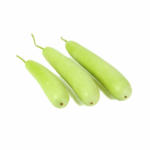Bottle gourd 1pc 15rs