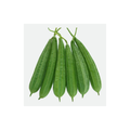Ridge guard 1kg 22