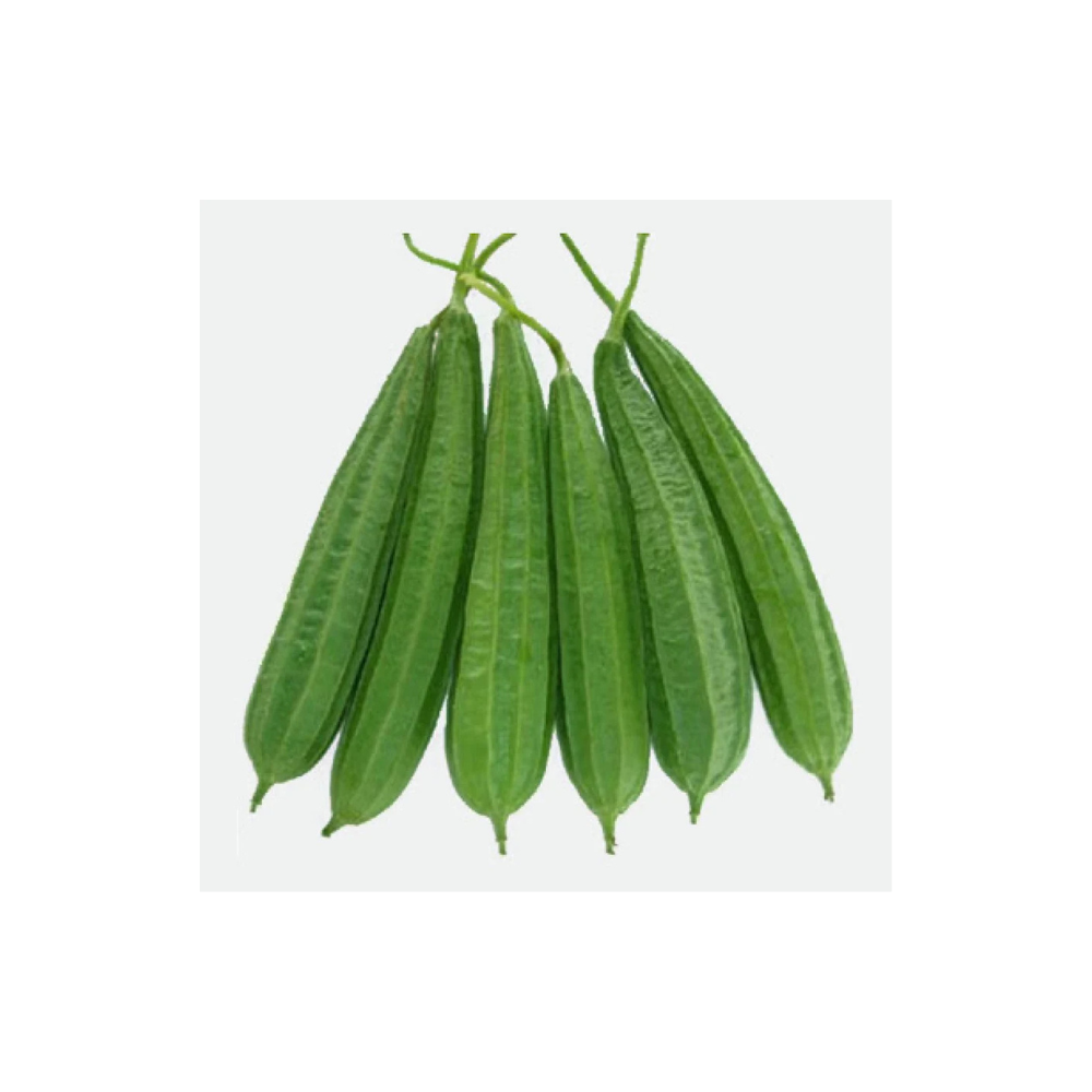 Ridge guard 1kg 22